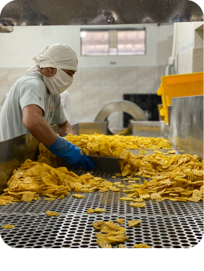 2003
OUR FIRST STEPS. Construction of the first artisanal plant for dehydrated products.