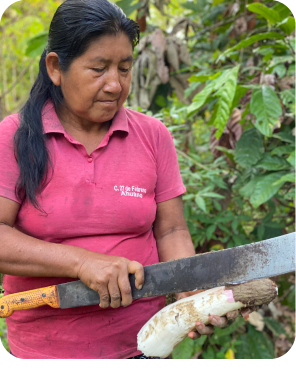 2000
AGROAPOYO ABRE SUS PUERTAS. Comenzamos como una empresa de consultoría para el desarrollo de la agricultura ecuatoriana.