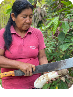 2000
 
AGROAPOYO OPENS ITS DOORS. We began as a consulting company for the development of Ecuadorian agriculture.
